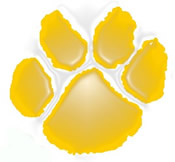Alumni & Reunion Information